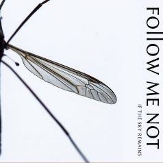 Follow Me Not « If the sky remains »