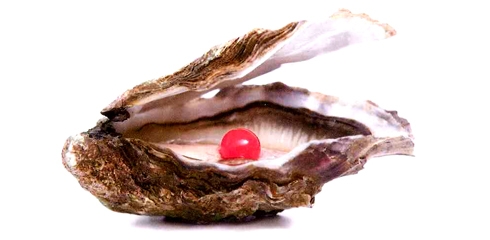 Bretagne moléculaire et cuisine autonome