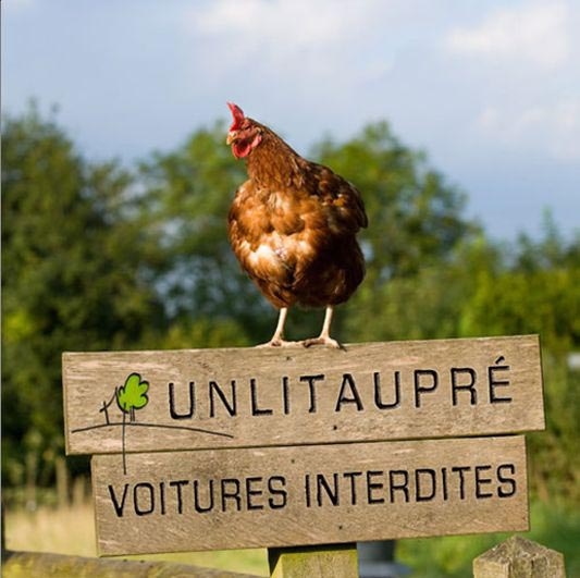 Des vacances d&rsquo;été à la ferme avec « Un Lit au Pré » !