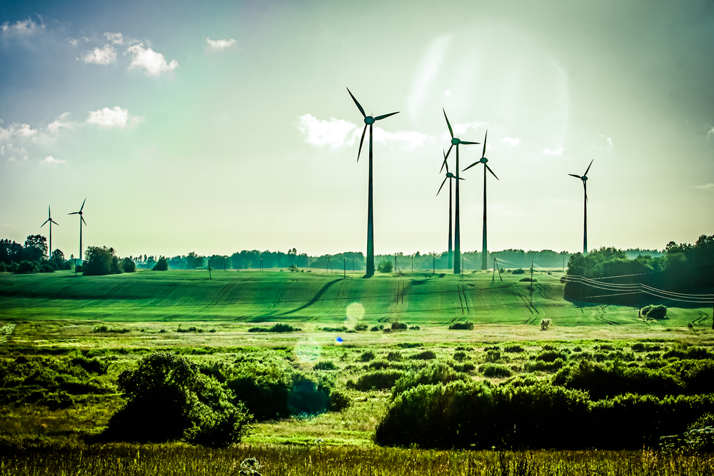 Transition énergétique : La Bretagne contre vents et marées
