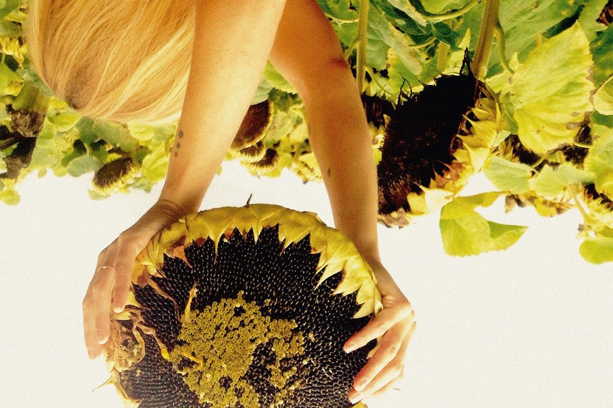 Chicaloyoh « Jaune Colère »