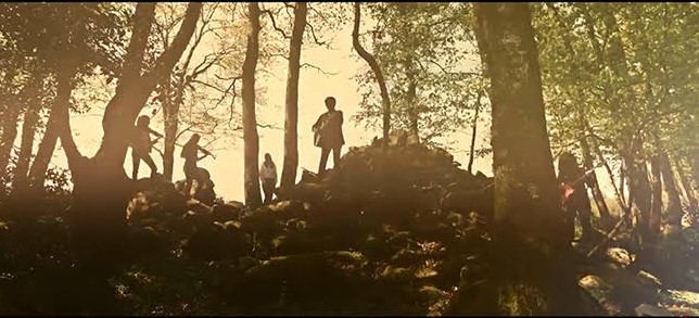 Le titre de la semaine : Liesliv de Dom Duff