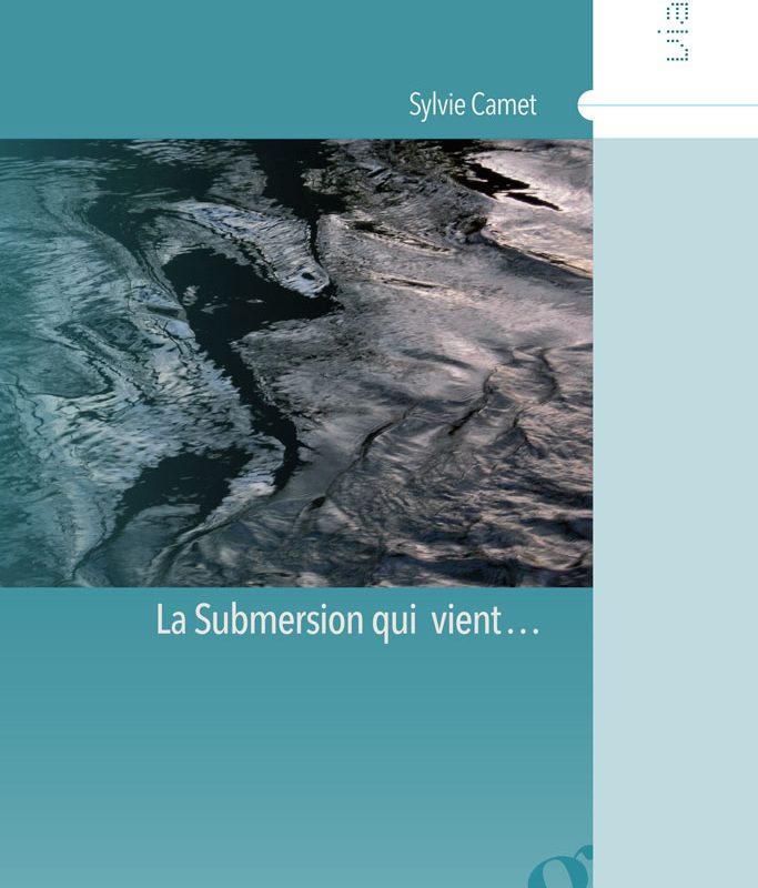 La Submersion qui vient… de Sylvie Camet : dégâts des mots