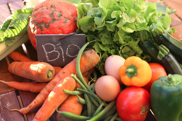 BRETAGNE BIO, VEGANE ET SANS GLUTEN