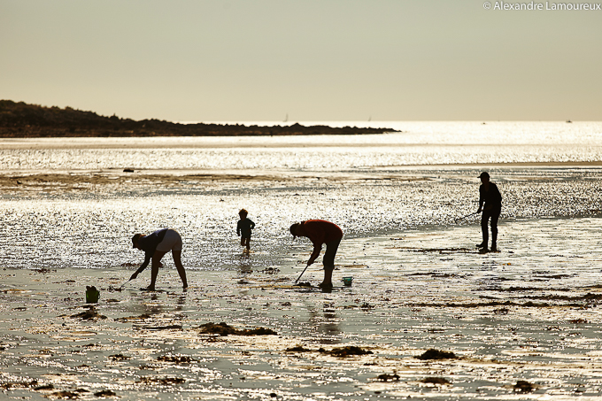 Bretagne : bientôt les marées d&rsquo;équinoxe