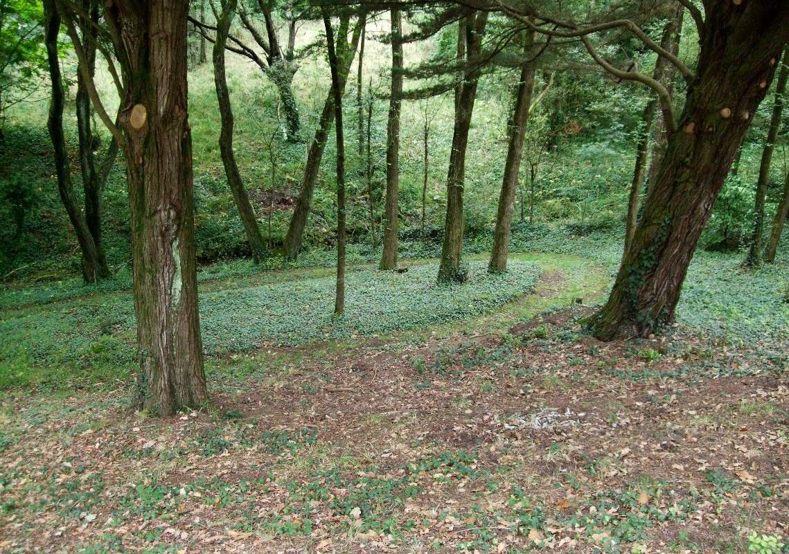 Arbres en Fête les 29 et 30 novembre 2019 à Lesneven et Plouider