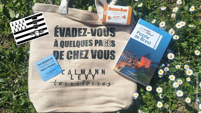 Puzzle de Brest : un livre de Yann Le Rest & Pascale Tamalet