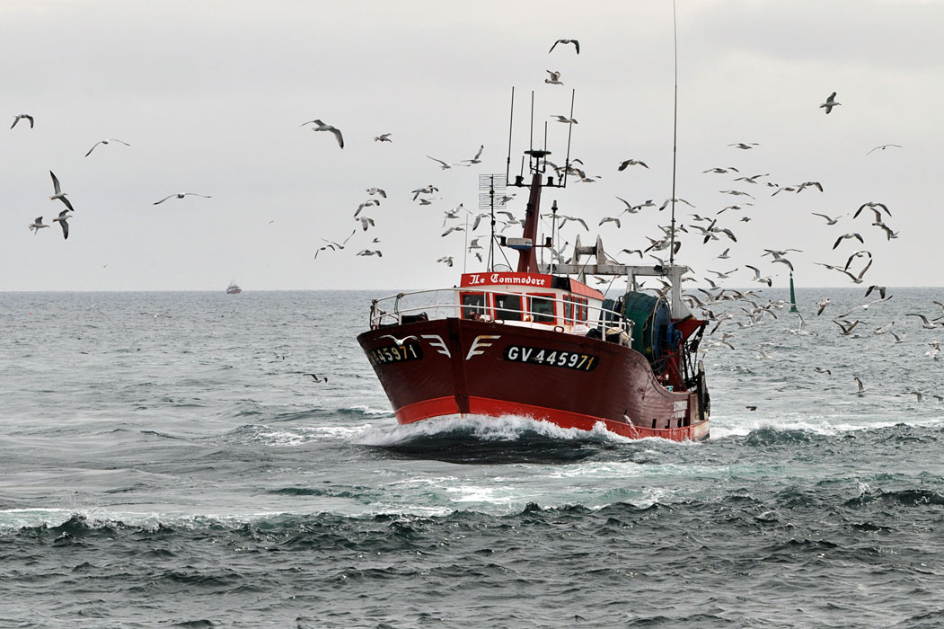 Le Brexit va-t-il permettre de rendre les eaux bretonnes aux pêcheurs bretons ?