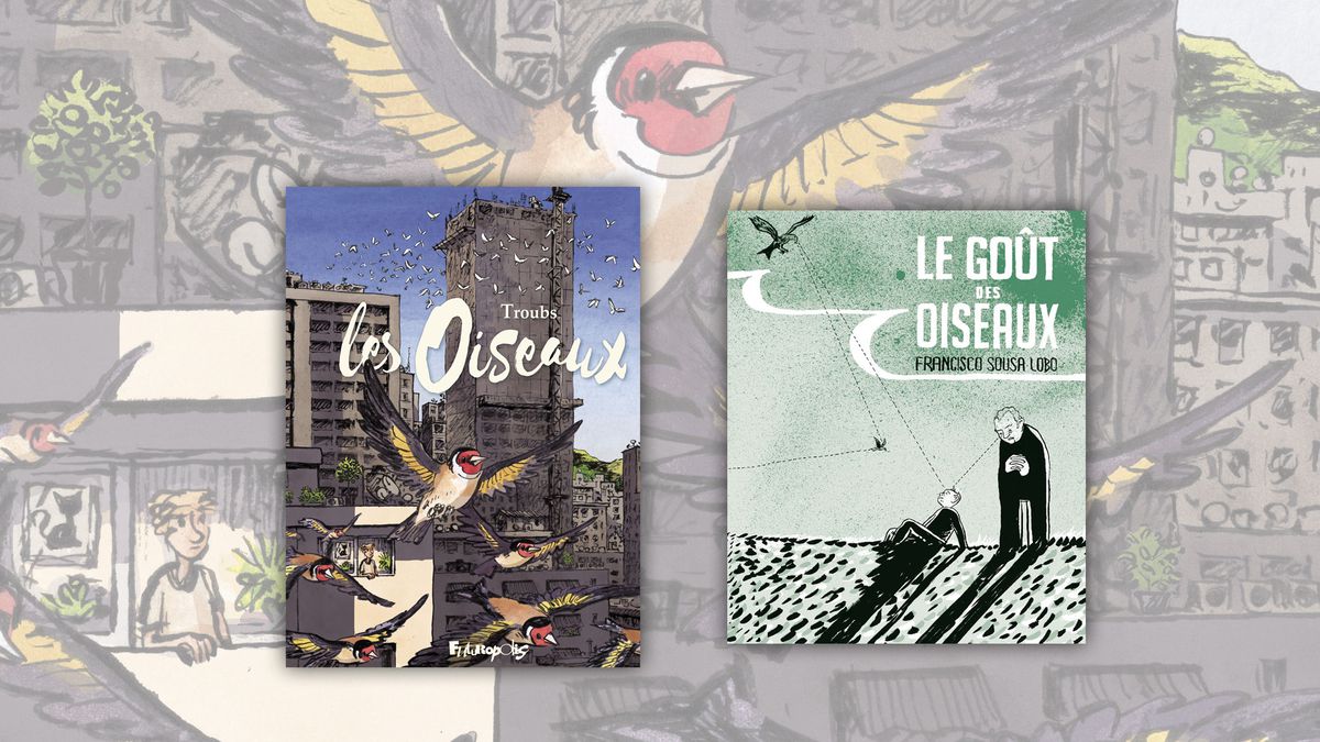 Les oiseaux, un roman graphique et bienfaiteur de Troubs