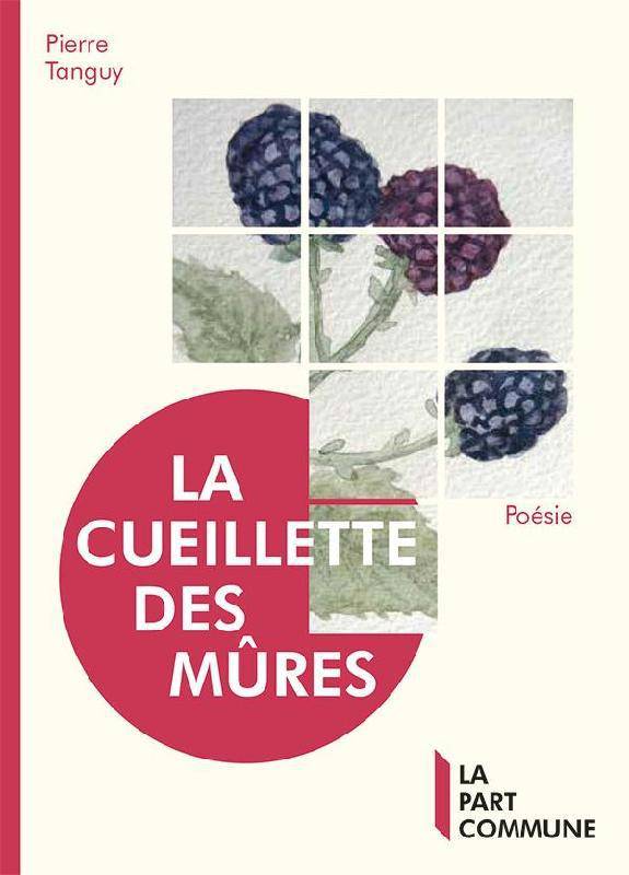Fortune de terre