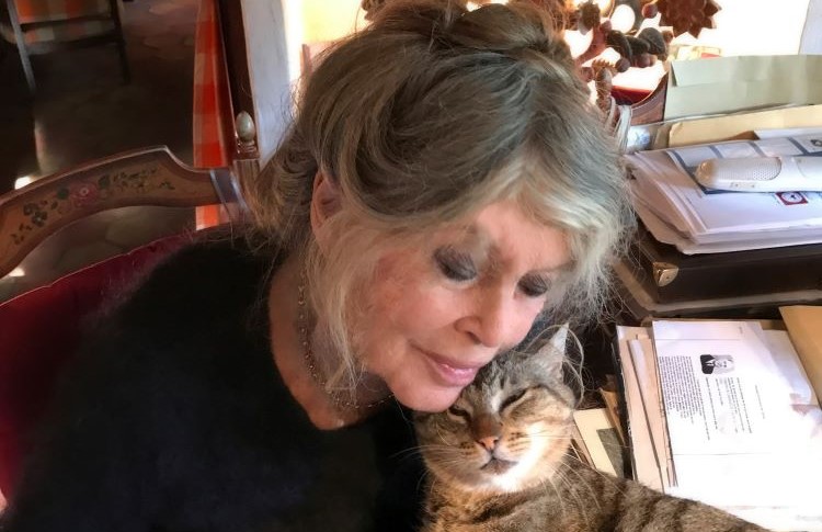 Entretien exclusif avec Brigitte Bardot : « J’observe la France avec désolation. »