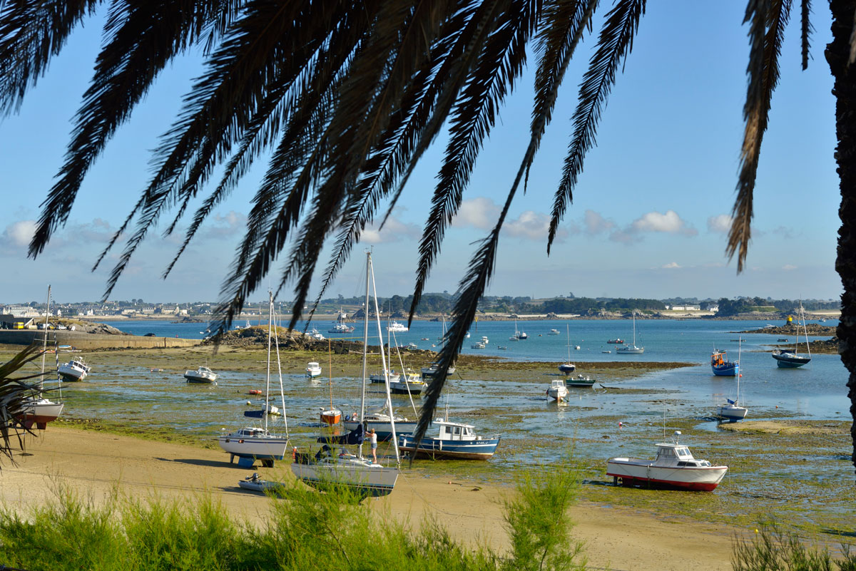 La Bretagne et ses îles : L’Île de Batz