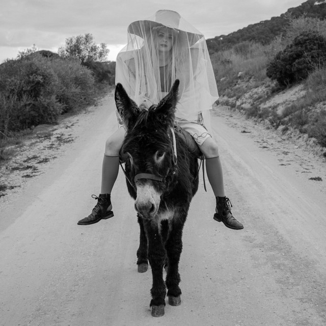 Titre de la semaine : Bang bang de Kovacs