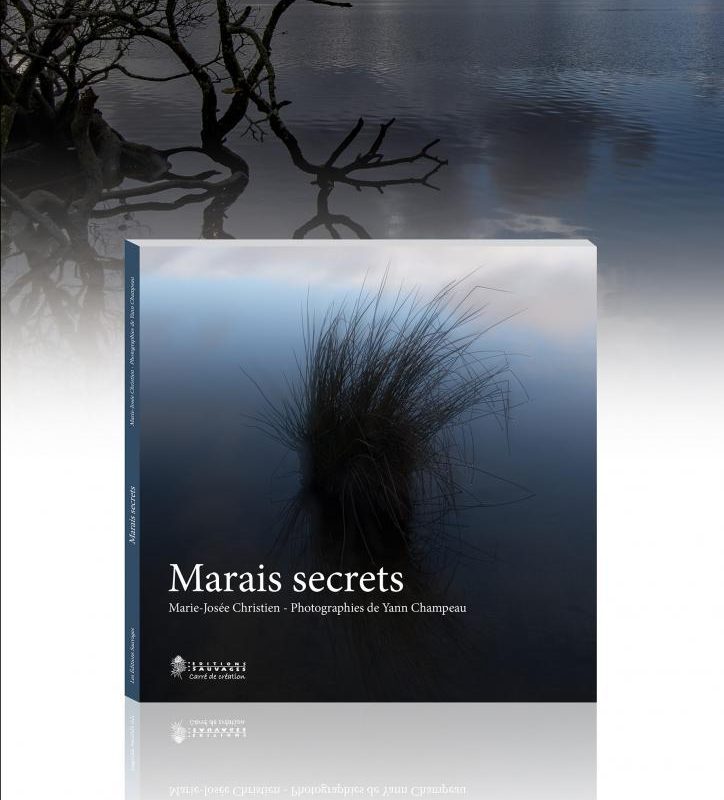Marais secrets de Marie-Josée Christien : Secrets d’air et d’eau