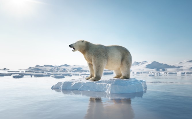 COP 27 : Chauffer ou refroidir… il faut choisir
