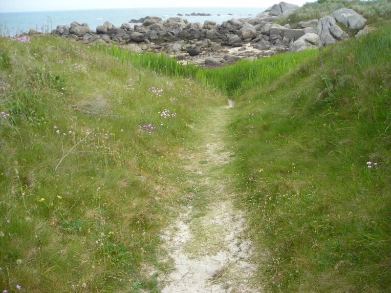 Marie Hélène Prouteau : « La petite plage »