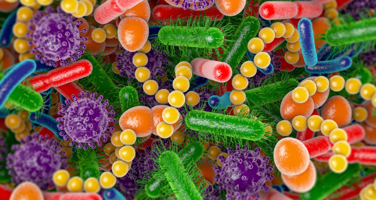 Le microbiote nous sauve la vie, par le Docteur Patrick Houlier