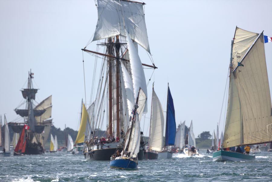 Golfe du Morbihan : Toutes voiles dehors !