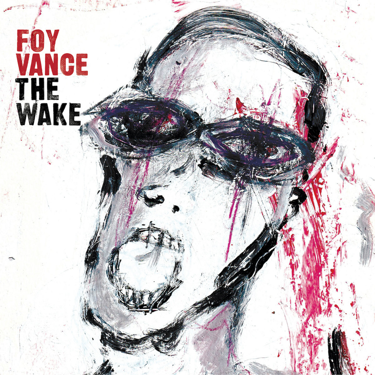 Foy Vance « The wake »