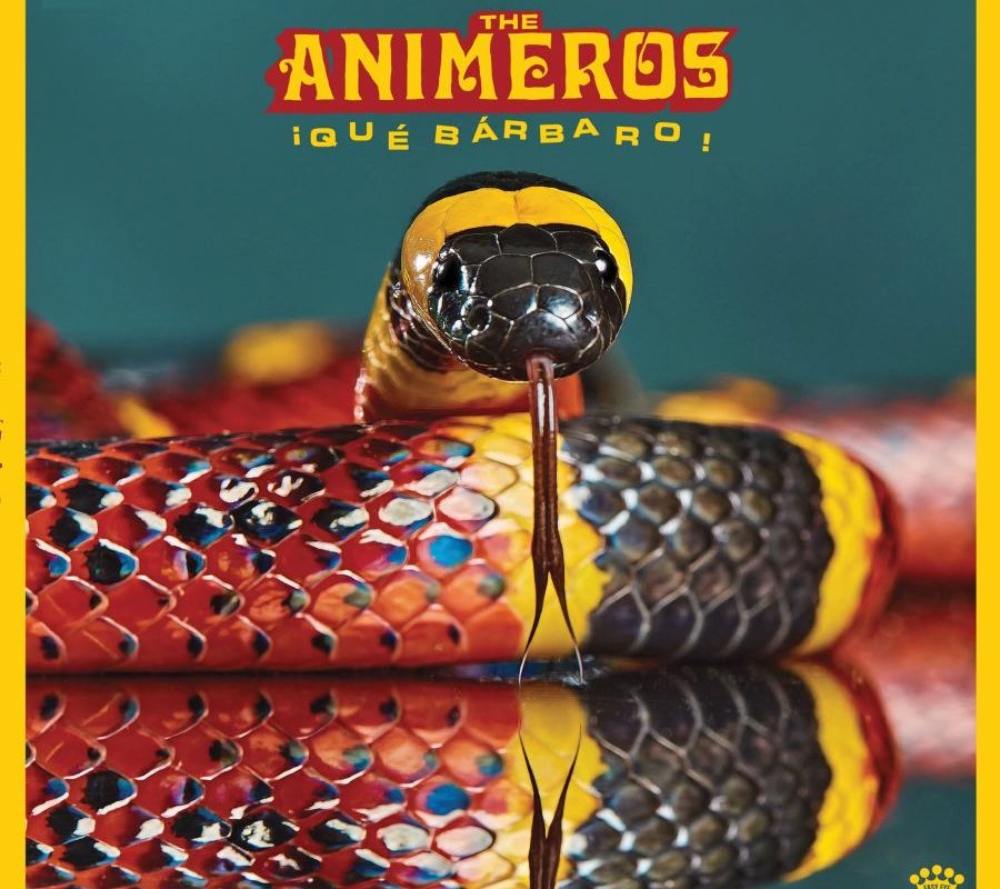 Le titre de la semaine : La camita de The Animeros