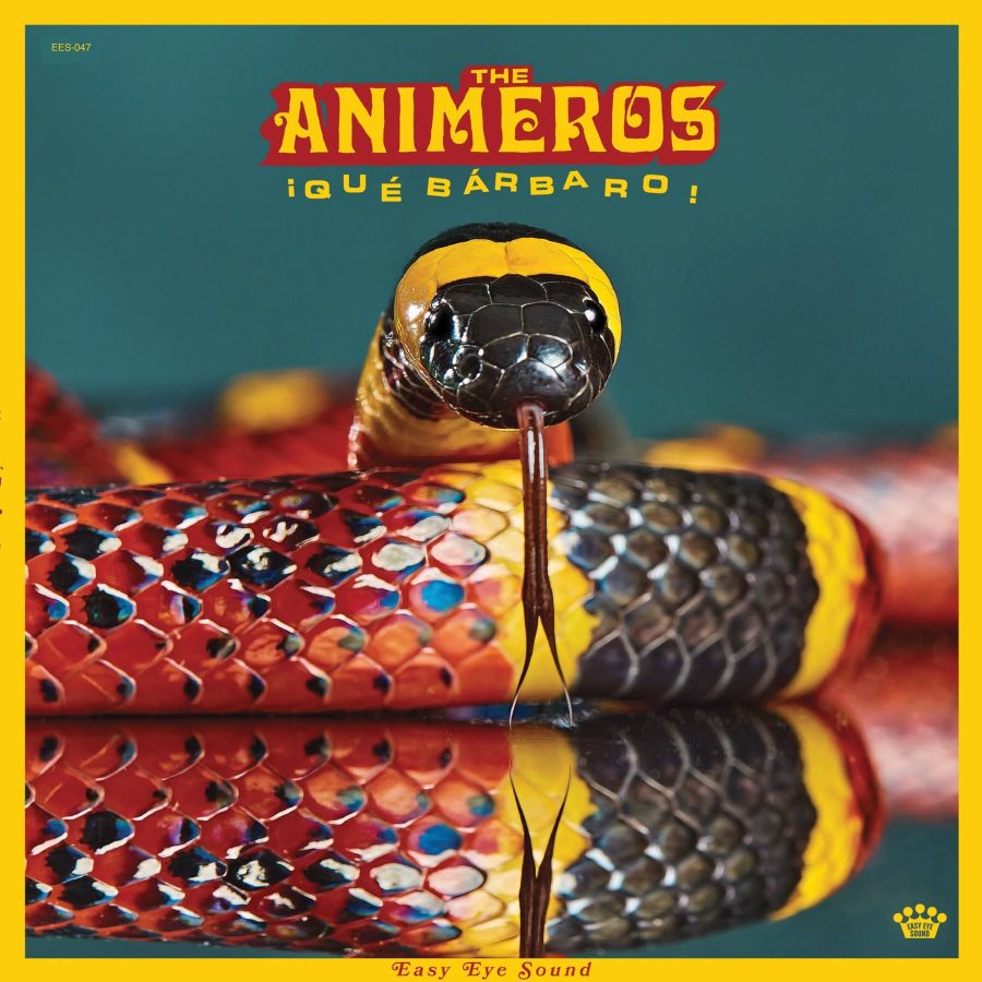 Le titre de la semaine : La camita de The Animeros
