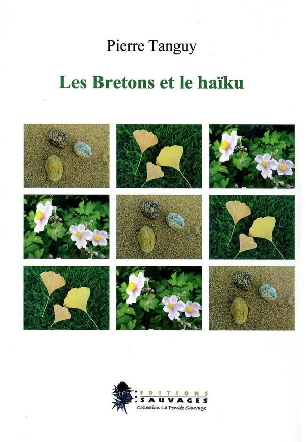« Les Bretons et le haïku » de Pierre Tanguy