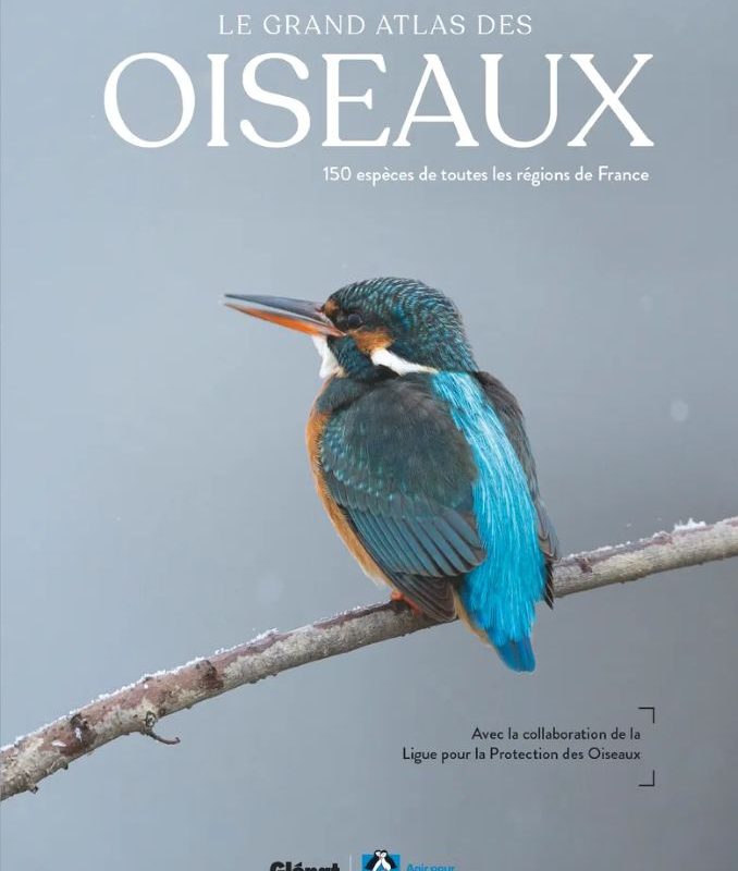 Le Grand Atlas des Oiseaux