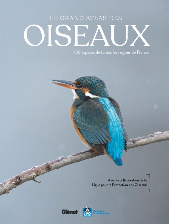 Le Grand Atlas des Oiseaux